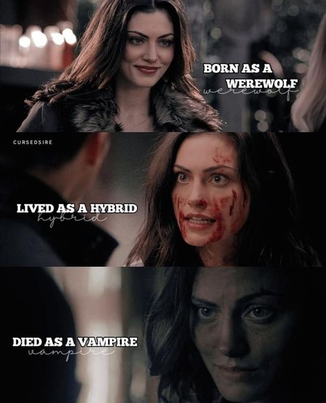 Vampire Werewolf Hybrid, Werewolf Hybrid, Vampire Werewolf, Hayley And Klaus, Teenage Books To Read, Fandom Quotes, The Vampire Diaries Characters, Hayley Marshall, Vampier Diaries