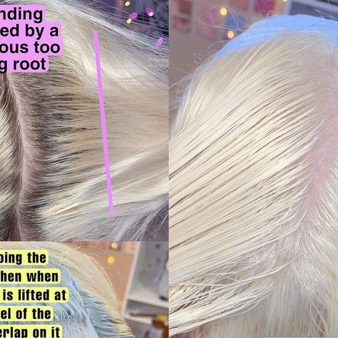 Edmonton Blonde Specialist on Instagram: "For a perfect platinum with zero warm banding, root touch up need to be done every 4-5 weeks maximum 😘💜" Platinum Blonde Formula, Blonde Specialist, Blonde Hair With Roots, Silver Blonde Hair, Grey Roots, Guy Tang, Root Touch Up, Silver Blonde, Platinum Hair