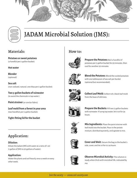 Uncover the potential of Jadam Microorganism Solution (JMS) for eco-friendly gardening using native microorganisms to enhance soil quality affordably and sustainably. Learn how to make JMS with basic components like potatoes and rainwater to create a thriving garden ecosystem. Discover more about Jadam Microorganism Solution at https://soil-society.com/blog/jadam-jms/
#JadamMicroorganismSolution #SustainableGardening #SoilHealth #EcoFriendlyGardening Garden Ecosystem, Natural Farming, Eco Friendly Garden, Thriving Garden, Plant Diseases, Old Trees, Sustainable Garden, Soil Health, Soil Improvement