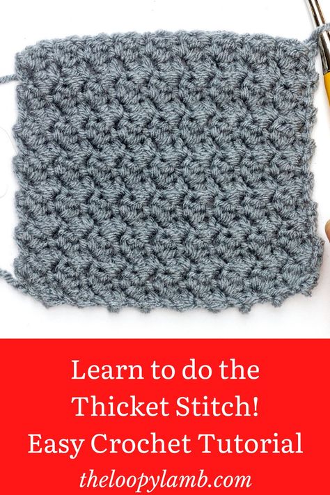 Thicket Stitch Crochet, Crochet Bloggers, Crochet Patterns Free Beginner, Easy Crochet Blanket, Crochet Blanket Designs, Easy Crochet Stitches, Crochet Tips, Crochet Goodies, Learn How To Crochet