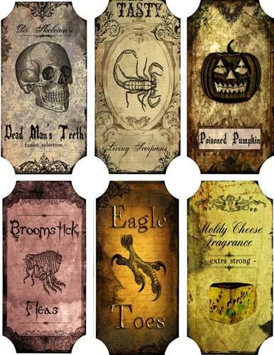 labels Halloween Apothecary Labels, Halloween Bottle Labels, Halloween Potion Bottles, Halloween Apothecary, Apothecary Labels, Potion Labels, Halloween Things, Halloween 6, Halloween Bottles