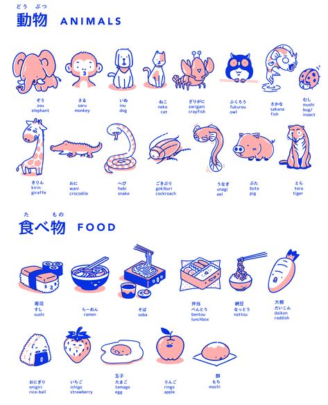 Japanese hiragana katakana learning kit with illustration and poster Learn Japan, Hiragana Katakana, Bahasa Jepun, Materi Bahasa Jepang, Basic Japanese Words, Japanese Language Lessons, Learn Japanese Words, Learning Japanese, Japanese Language Learning