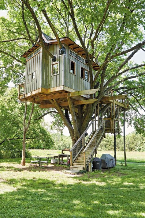 Beautiful Tree Houses, Casa Hobbit, Treehouse Masters, Building A Treehouse, Cool Tree Houses, Sitting In A Tree, Outdoor Play Area, Tree Tops, Fairy Houses