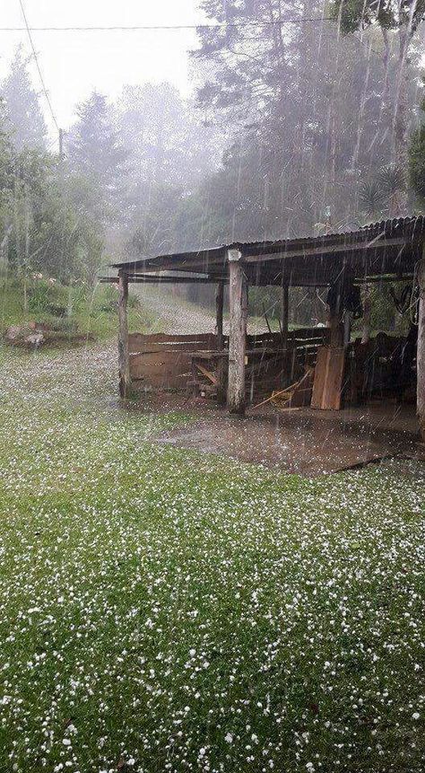 Granizo en Coban.  Ice bundles in rain. Ice Rain, Coban, Wallpaper Designs, Coming Home, Dream Life, Bundles, Collage, Water, Pins