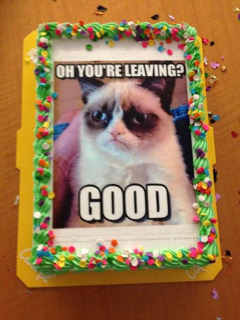 Here are the rudest goodbye cakes given to office workers after they quit... and they're bound to make you chuckle Cat Themed Retirement Party, Farewell Cake Ideas Coworker Funny, Funny Goodbye Cake, Grumpy Cat Birthday, Goodbye Cake, Grump Cat, Funny Goodbye, Farewell Cake, Funny Cakes