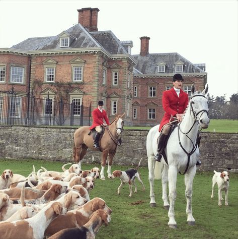 English Style Decor, British Elegance, British Country Style, British Aesthetic, Fox Hunter, Classic Academia, Glam Pad, Country Aesthetic, Fox Hunt