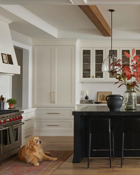 Who wins for Canada’s next top kitchen model? 😸or 🐶? ➡️ 💡to love here: the Tiny Terri table lamp Cabinetry+ Design: @lighthouse_cabinetry 📷: @lomillerphoto Styling: @_meandmo_ Top Kitchen, Cabinetry Design, Kitchen Models, Kitchen Tops, Light House, Lighthouse, Table Lamp, House Design, Design