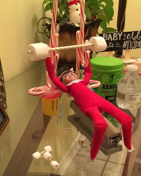 Elf in the Gym Elf Delivery, Elf Ideas Easy, Easy Elf On The Shelf, Fish Crackers, Easy Elf, Elf Kit, Awesome Elf On The Shelf Ideas, Elf Props, Elf Activities