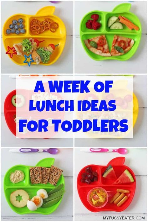 Easy And Healthy Lunch Ideas, Lunch Ideas For Toddlers, Bentgo Box, Toddler Foods, Healthy Bedtime Snacks, Kid Meals, Easy Toddler Meals, Toddler Recipes, Healthy Sweet Snacks