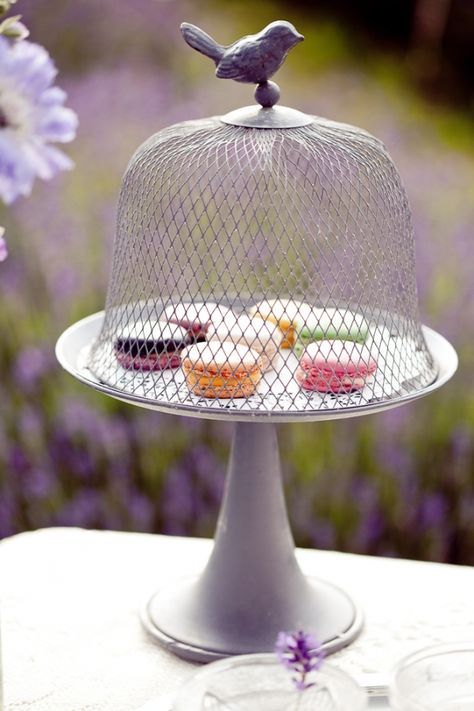 Pretty cake pedestal. Kelsey Jones, Birdcage Cake, Wire Cloche, Colorful Cookies, Macarons Cake, Wedding Lavender, Bird Cage Centerpiece, Wire Bird, Bird Cake