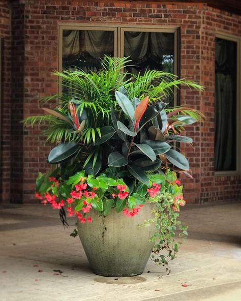 A stunning 4 plant combo that makes an impact.... Because this container is large I put in dual centerpieces with Palm and Ficus then ski... | Instagram Patio Flower Pots, Big Pots, Summer Planter, Patio Flowers, Porch Flowers, Container Garden Design, Potted Plants Outdoor, Large Flower Pots, Container Gardening Flowers