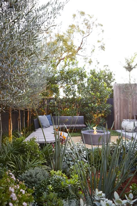 Coastal garden Sydney, garden design, landscape design eastern suburbs Moderne Have, Australian Garden Design, Australian Native Garden, Courtyard Gardens Design, Outdoor Seating Area, Australian Garden, Garden Wallpaper, Coastal Gardens, Outdoor Gardens Design