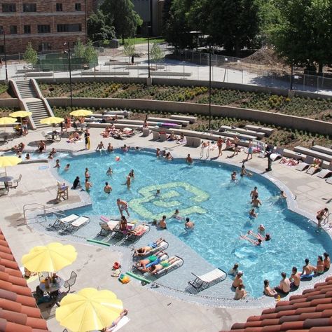 Small Indoor Pool, Swim Camp, Cu Boulder, Custom Water Feature, Longmont Colorado, Colorado Boulder, Leisure Pools, University Of Colorado Boulder, Pool Contractors