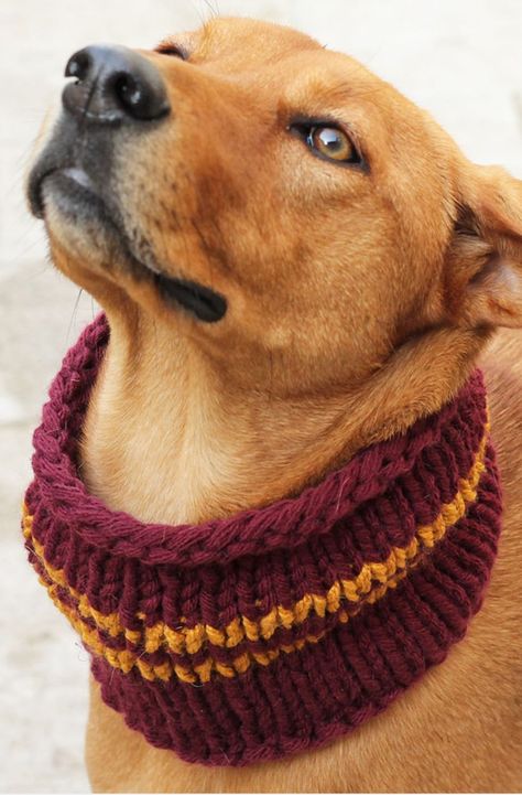 Dog Scarf Crochet, Knitting Patterns For Dogs, Dog Neck Warmer, Gryffindor Scarf, Snood Pattern, Gryffindor House, Dog Snood, House Colours, Dog Sweater Pattern