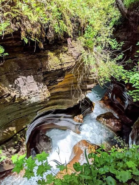 Colorado Springs Community | This hidden gem in Colorado is called "Little Hawaii" and it is absolutely beautiful | Facebook Telluride Colorado, Bear Creek, Hidden Gem, Colorado Springs, Hiking Trails, Springs, Colorado, Hawaii, Hiking