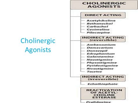 Cholinergic Agonists, Pharmacology Nursing, Pharmacology, Study Tips, Pharmacy, Nursing, Bar Chart, Acting, Medical