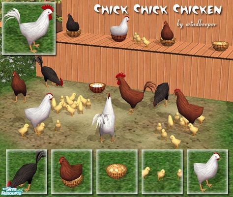 Decorative roosters, hens, baby chicks, chicken nests, and chicken eggs. Start your chicken farm or adopt one as a pet. Sims 2 Pets, Sims Pets, Sims Medieval, Sims 3 Mods, Sims 4 Clutter, Sims 5, Play Sims, Sims Games, Sims 4 Characters