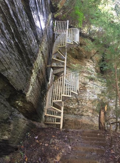 This Waterfall Staircase Hike May Be The Most Unique In All Of Tennessee Tennessee Waterfalls Map, Greeter Falls Tennessee, Waterfall Staircase, Tennessee Hikes, Hiking Tennessee, Nashville Hiking, Tennessee Adventures, Tennessee Living, Abandoned Exploration