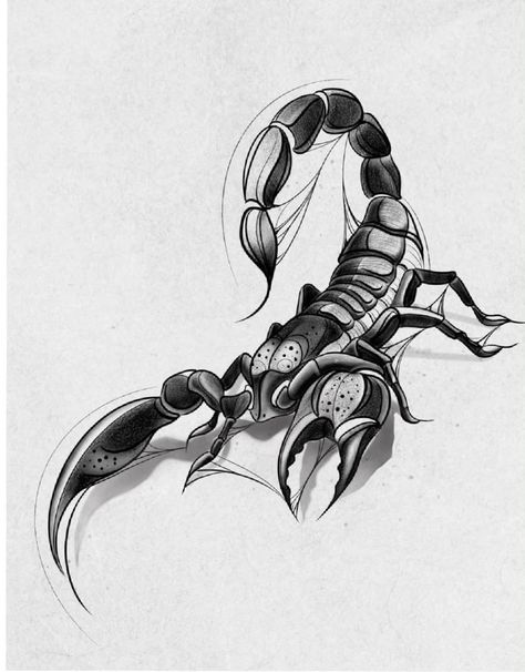 Scorpion Sketch Tattoo, Scorpion Sketch, Scorpion Drawing, Scorpion Animal, Scorpion Tattoo Design, Scorpion Art, Scorpion Design, Cartoon Tattoo Ideas, Arm Tattoos Drawing