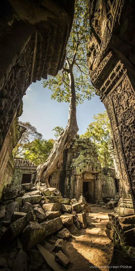 Vietnam Tank, Jungle Temple, Maya Ruins, Joker Images, Temple Ruins, The Black Cauldron, Ancient Technology, Ancient Buildings, Durga Maa