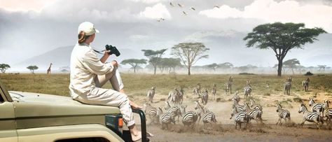 Make the most out of your adventure to Africa and book these best and safest tanzania safaris, tours, and packages! Kenya Photography, Calving Season, Zanzibar Travel, Safari Photography, Rift Valley, Tanzania Safari, Kenya Safari, Wildlife Safari, Africa Safari