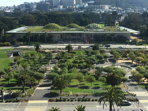 Academy Of Science San Francisco, Renzo Piano Architecture, Science Sans, Building References, Museum Garden, California Academy Of Sciences, Visual Library, Green Roofs, Renzo Piano