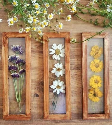 Saving Flowers, Aesthetic Vase, Flower Drying, Dried Flowers Crafts, Pressed Flowers Diy, Dried Flowers Diy, Hantverk Diy, Pressed Flower Crafts, Flower Press