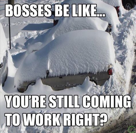 Bosses be like...you're still coming to work, right? Snow Storm Meme, Snow Meme, Winter Humor, Snow Humor, Winter Funny, Funny Friday Memes, Meme Meme, Memes Of The Day, Funny Work