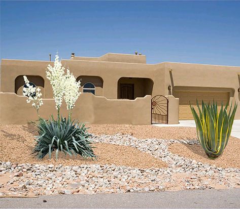 Desert Entryway Landscaping, Xeriscape Front Yard New Mexico, Southwest Landscape Ideas Arizona, Southwest Landscape Ideas New Mexico, Southwest Landscape Ideas, Desert Landscaping Front Yard Arizona Native Plants, Southwest Landscaping, Curb Appeal Landscape, Mulch Landscaping