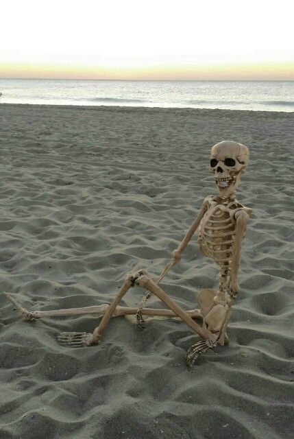 Beach Bum, Halloween Season, Home Depot, Skeleton, Yard, Halloween