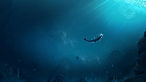 52hz Whale, Wallpaper Whale, Whales Wallpaper, Whale Wallpaper, Arte Peculiar, Ocean Air, Whale Art, Mac Wallpaper, Wallpaper Ipad