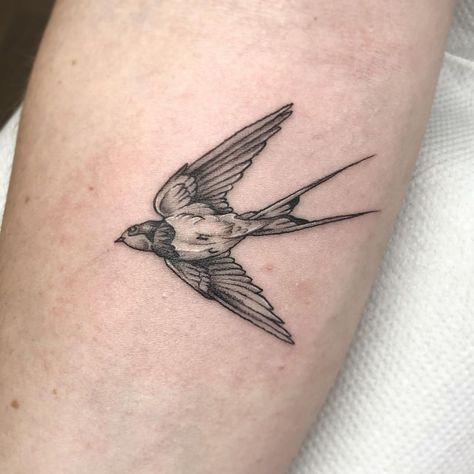 Teeny tiny Swallow on lovely @jadelouisaxo last week. This is placed just under the elbow crease. Really enjoyed this one . . . #tattoo #tattooing #tattooist #tattooer #tattoos #uktattoo #femaletattooartist  #uktattooist #tattoodesign #blackandgreytattoo #divineink #divineinktotnes #totnes #totneshighstreet #devontattoo #devontattooist #swallowtattoo #swallow #birdtattoo #birdstattoo #daintytattoo #smalltattoo #girlytatttoo #prettytattoo #linework One Tattoo, Elbow Tattoo, Swallow Tattoo, Elbow Tattoos, Female Tattoo Artists, Swallow Bird, Dainty Tattoos, Birds Tattoo, Pretty Tattoos