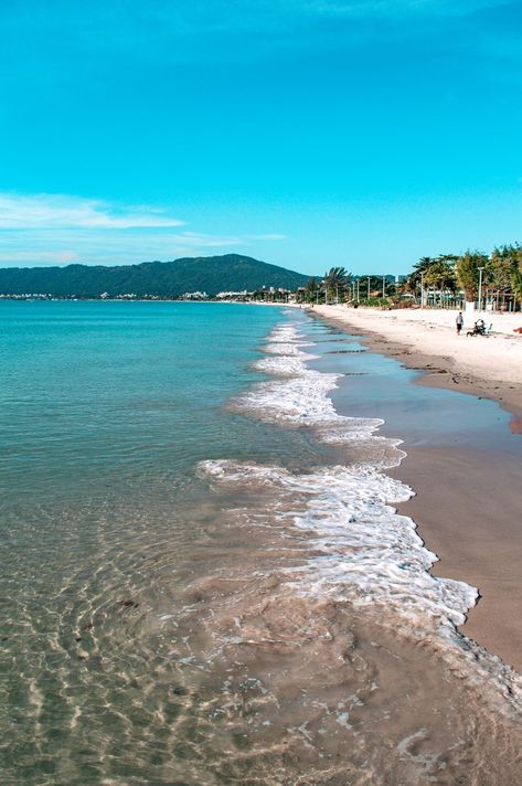 melhores praias de florianópolis Mole, Water, Norte, Santa Catarina