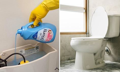 Why you should pour fabric softener into your toile | Daily Mail Online Downy Fabric Softener, Toilet Cleaning Hacks, House Cleaning Company, House Smell Good, Liquid Fabric Softener, Diy Toilet, Bathroom Smells, Fabric Conditioner, Toilet Cleaner