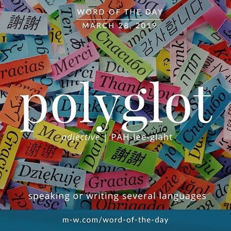 Polyglot - Word of the Day Language Challenge, Vocabulary Quiz, Writers Help, Advanced English Vocabulary, Uncommon Words, Advanced English, Fancy Words, Rare Words, Writers Write