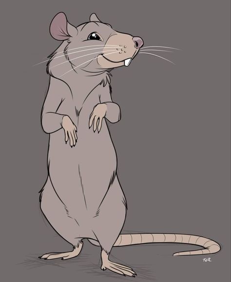 Rat Drawing Reference, Rodent Drawing, Rat Logo, Rat Character, Park Rat, Drawing Notes, Rat Drawing, Copic Marker Drawings, Cartoon Rat