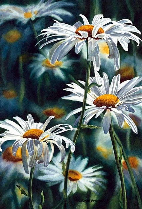 19 Incredibly Beautiful Watercolor Painting Ideas Watercolor Paintings Easy, White Daisies, 수채화 그림, Easy Watercolor, Beginner Painting, Flowers Art, Watercolor Inspiration, Vincent Van Gogh, 그림 그리기