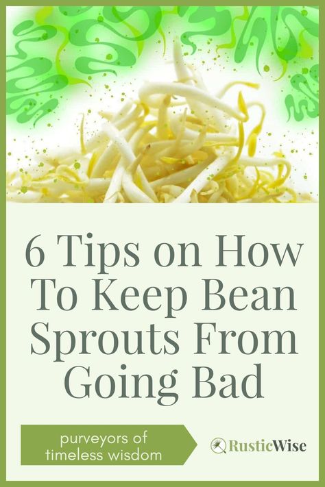 Growing Bean Sprouts At Home, How To Store Bean Sprouts, How To Store Sprouts, How To Grow Bean Sprouts, Been Sprouts Recipes, What To Do With Bean Sprouts, How To Cook Bean Sprouts, Bean Sprout Recipes Easy, Chinese Bean Sprouts Recipe