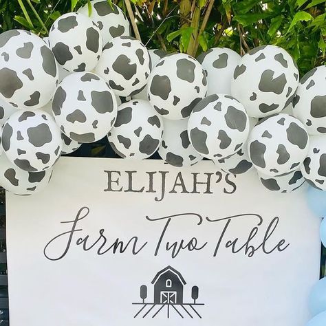 Jackie Yesharim on Instagram: "Farm TWO Table Barn Bash celebrating my little babe. We partied till the cows came home 🐄" Holy Cow I’m One, Cow Birthday Party, Farm Party Decorations, Cow Birthday Parties, Cow Birthday, Farm Party, Cow, Party Decorations, Birthday Party