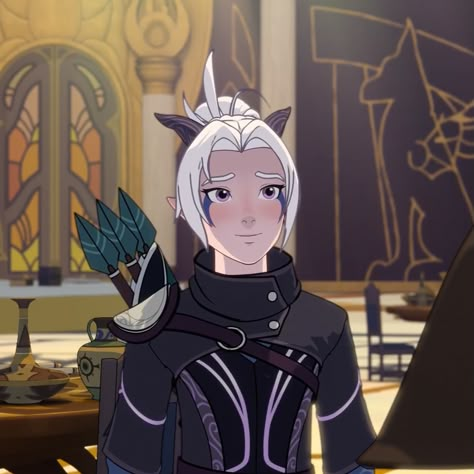 Callum Dragon Prince, The Dragon Prince Rayla, Dragon Prince Callum, Dragon Prince Rayla, Prince Callum, Callum X Rayla, Rayla X Callum, Rayla Dragon Prince, Dragon Price