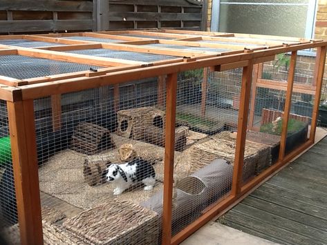 Outdoor Rabbit Run, Rabbit Hutch Plans, Rabbit Shed, Outdoor Rabbit Hutch, Rabbit Enclosure, Rabbit Habitat, Bunny Hutch, Bunny Room, Flemish Giant