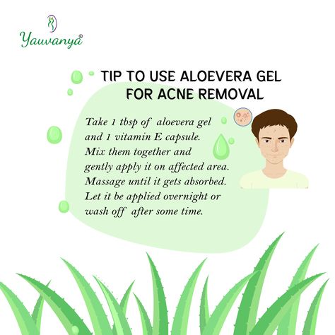 Pro Tip- To use Aloevera gel🍀 The moment you start using aloe vera gel for acne, it will make a difference. #yauvanya #herbalbrand #skincaretips #skincare #skincareroutine #aloevera #acne #acnetreatment #newpost #trend #modern #protip #explorepage #viral #selflove #selfcare #cleanskincare Aloevera Skincare For Acne, Aloevera Skincare, Skincare For Acne, Vitamin E Capsules, Pro Tip, Natural Care, Remove Acne, Clean Skincare, Aloe Vera Gel