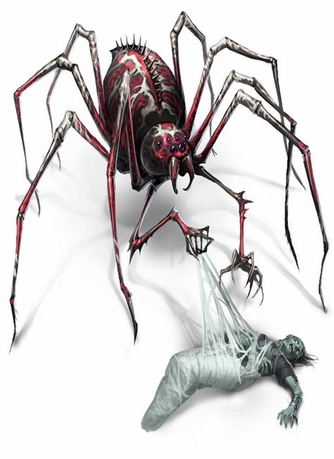 Creepy Crawlers, Creepy Spider, D D Monsters, Pathfinder Rpg, Cool Monsters, Mythical Animal, Monster Concept Art, Dnd Art, Fantasy Monster