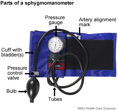 Blood Pressure Cuff Selection and Sizing Pulse Pressure Nursing, Blood Pressure Measurement, Blood Pressure Control, Blood Pressure Cuff, Blood Pressure Monitors, Wellness Massage, Vital Signs, Flowers Wallpaper, Control Valves