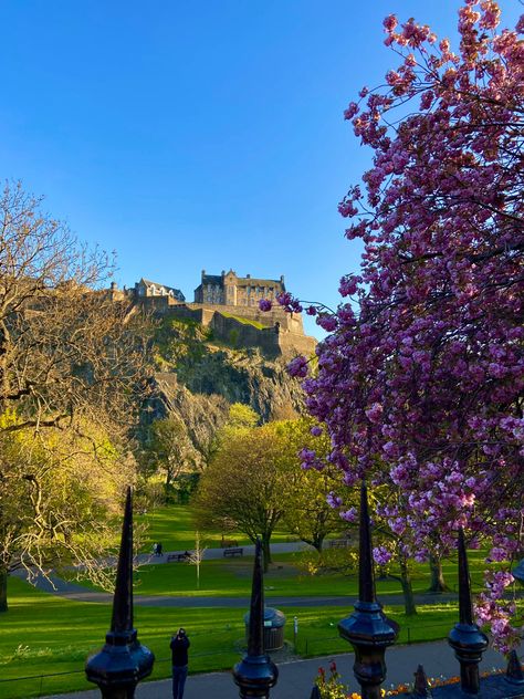 Endinburgh castle in spring with cherry blossoms Scotland Aesthetic, Moving To Scotland, Edinburgh University, Scotland Forever, Edinburgh Castle, Edinburgh Scotland, Uk Travel, Places Around The World, Cherry Blossoms