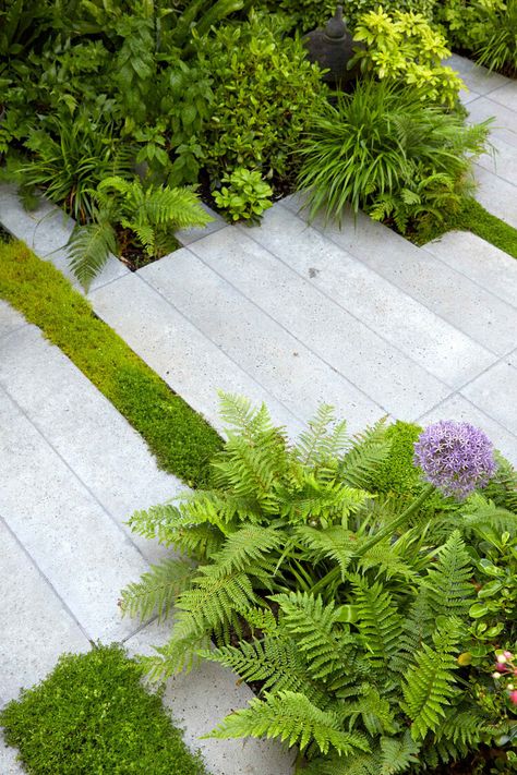 NW6 — GRDN | Creative Garden Design & Landscape Architecture Practice | London UK Contemporary Gardens, Stone Paving, Architecture Practice, Urban Gardens, Concrete Paving, Garden Inspo, Contemporary Garden, Design Landscape, City Garden