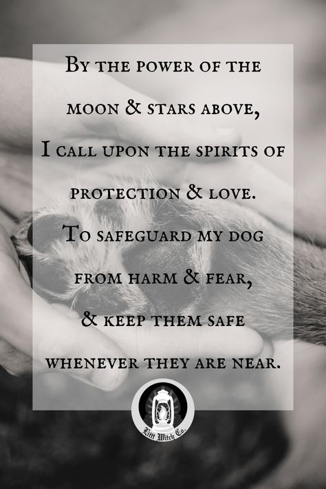 Protection Spells For Pets, Dog Protection Spell, Cat Protection, Pet Healing Spell, Pet Protection Spell Jar, Pet Protection Spell, Pet Healing, Stop Dog Barking, Witchcraft Spells For Beginners