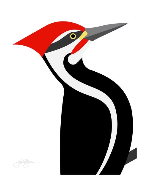 "Fine Art print of Pileated Woodpecker - Vivid Series design. The Vivid Series of our bird illustrations are designed for a more dramatic visual statement in a modern design, museum quality, fine art print. Our contemporary, abstract, bird prints use bold colors and a minimalistic design style for an amazing visual artistic presentation for any wall in your home or office.  About our Bird Series We are life-time birders and started creating this series of designed bird illustrations over ten yea Charley Harper Birds, Pileated Woodpecker, Abstract Bird, Bird Illustrations, Polygon Art, Bird Graphic, Bird Quilt, West Art, Abstract Geometric Art