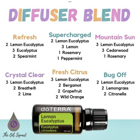 Lemon Eucalyptus Diffuser Blends, Doterra Lemon Eucalyptus, Essential Oil Combos, Doterra Lemon, Doterra Diffuser, Doterra Diffuser Blends, Hippie Living, Essential Oil Diffuser Blends Recipes, Lemon Eucalyptus