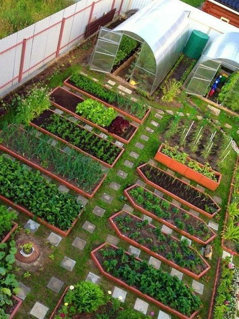 Gardening ideas Gardening Wedding, Designer Garden, Planning Garden, Planters Garden, Gardening Landscaping, Gardening Design, Vegetable Garden Planning, Vegetable Garden Diy, نباتات منزلية